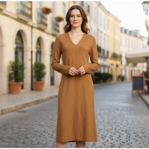 Rag and Bone Long Sleeve Japanese Wool Midi Dress Size Small New Retails $450